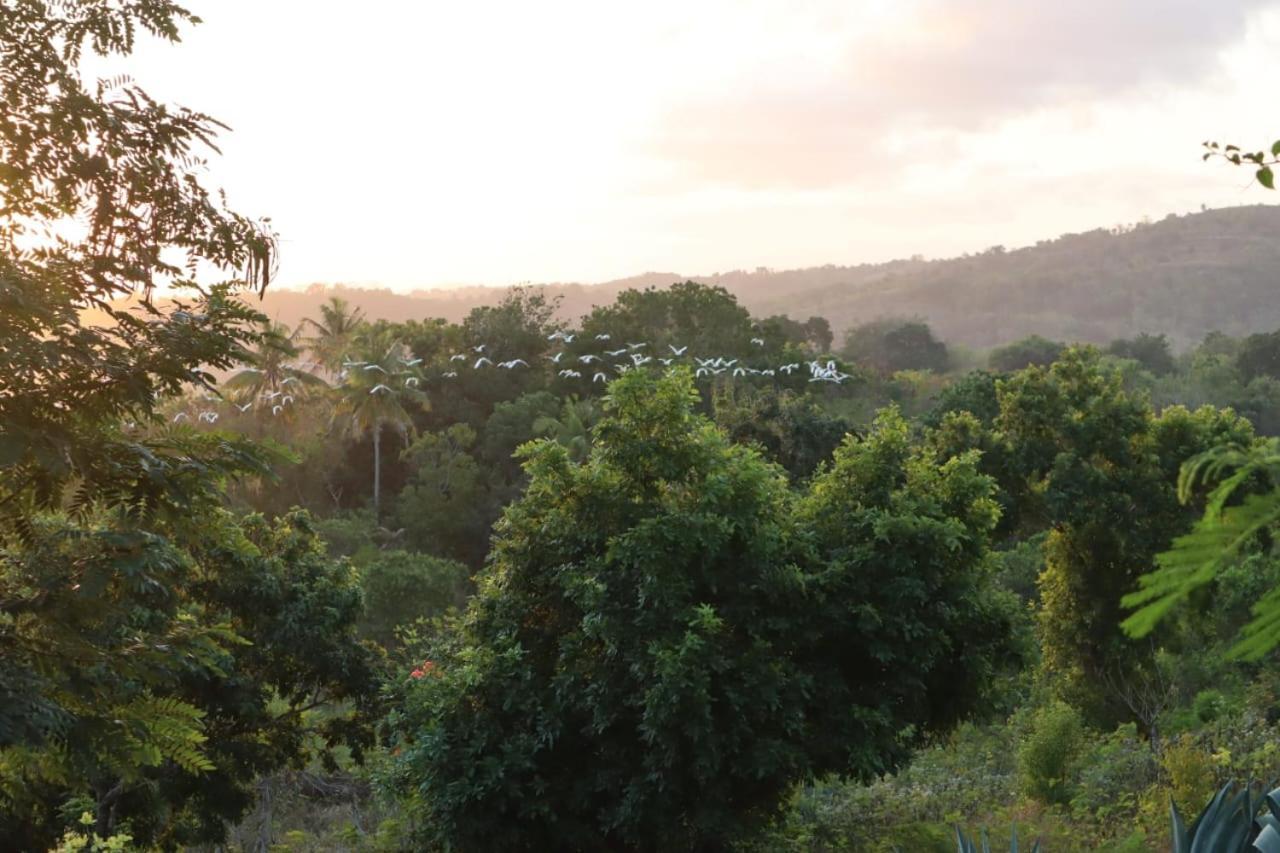 Sumba Nautil Resort Deke Bagian luar foto