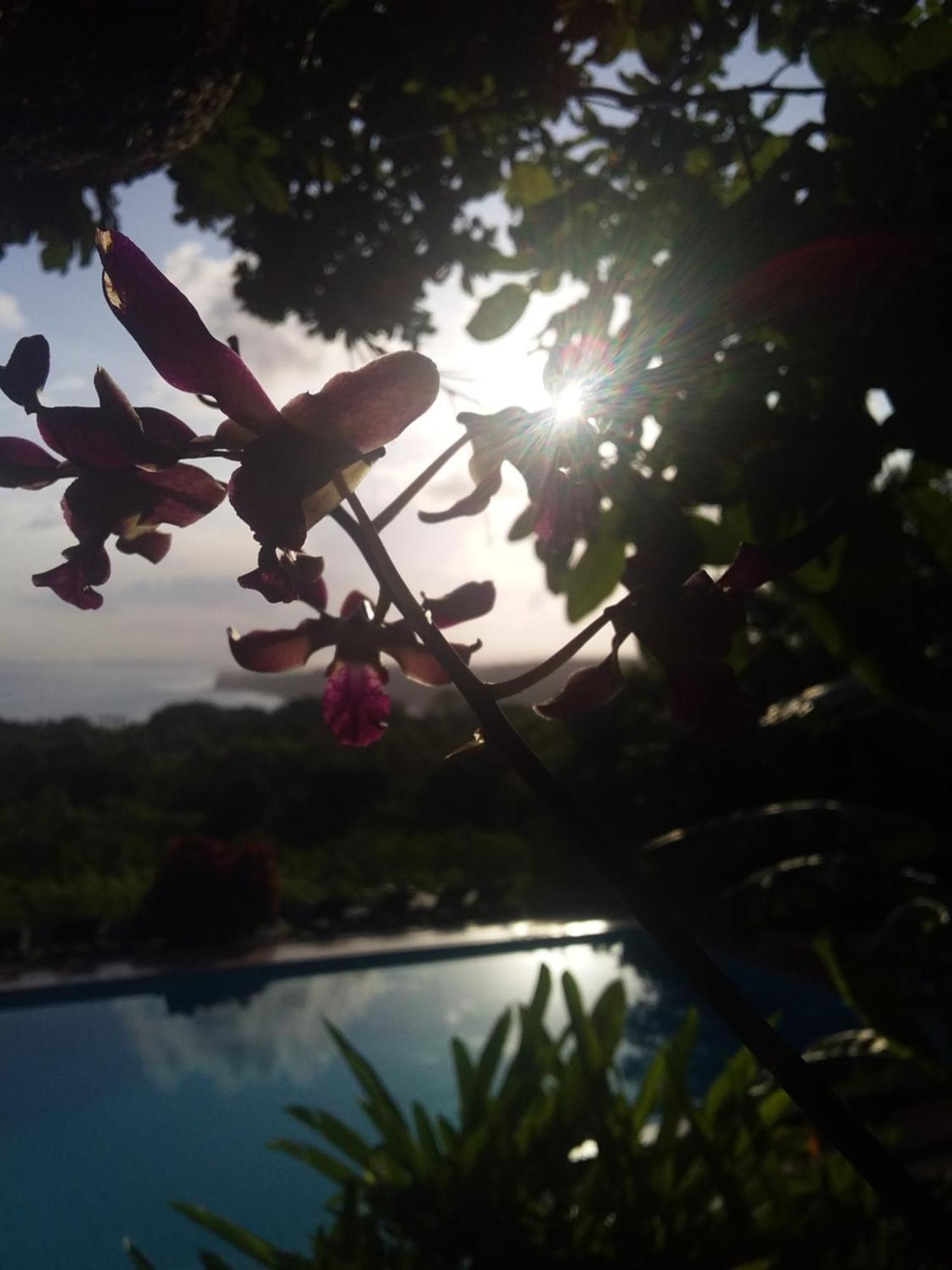 Sumba Nautil Resort Deke Bagian luar foto
